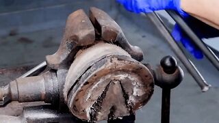 Dissection of horse hoof